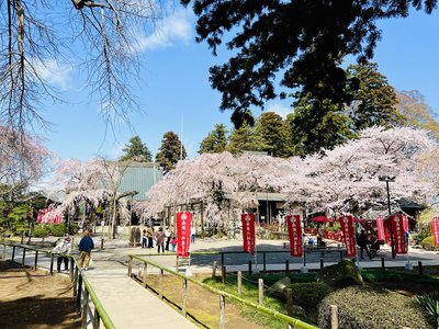 🌸 미토 대사 육지장사(미토다이시 로쿠지조지)